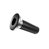 LM.430.003 Винт клина (черный)